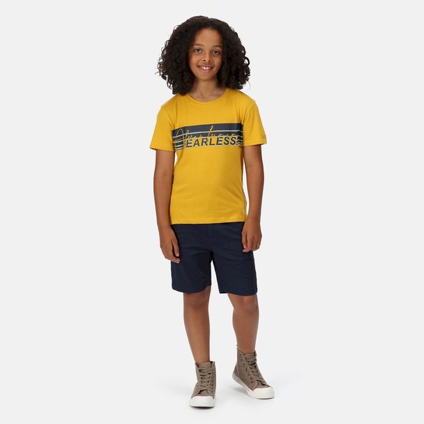 Regatta Regatta Childrens/kids Bosley V Stripe T-shirt