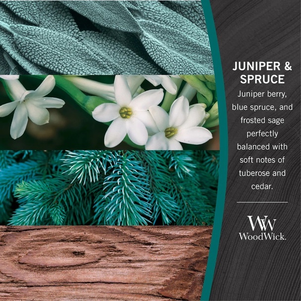 WoodWick WoodWick Medium - Juniper &amp; Spruce