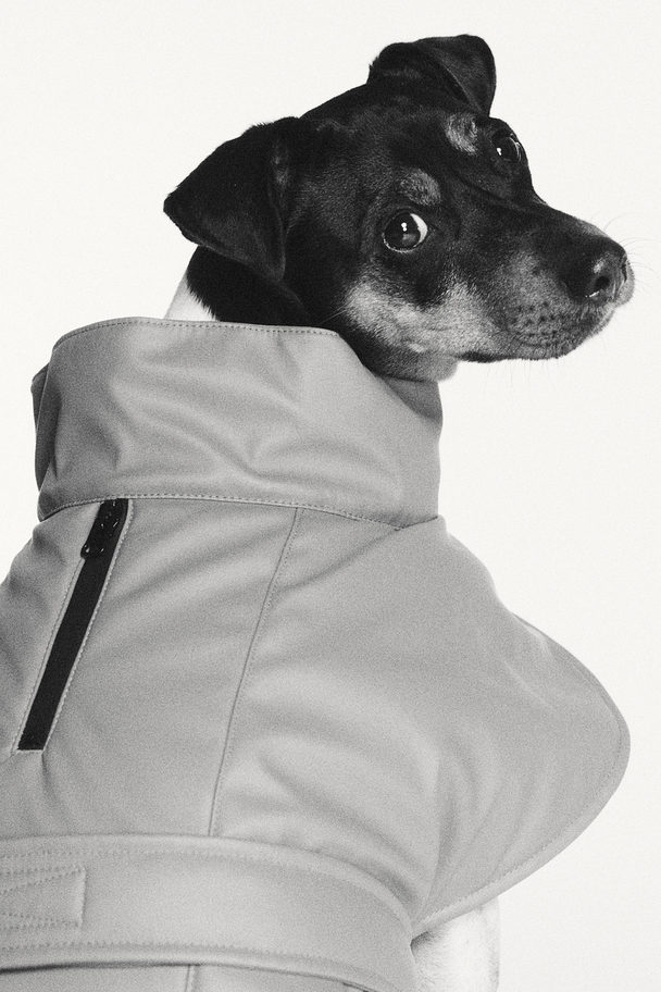 H&M Coated Dog Jacket Brown