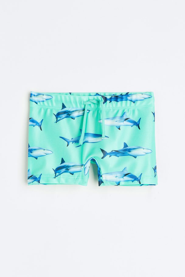 H&M Swimming Trunks Mint Green/sharks