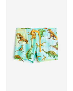 Swimming Trunks Turquoise/dinosaurs