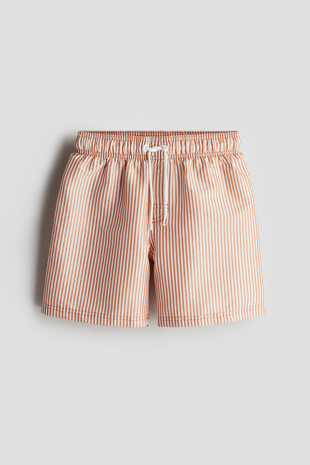 H&M Swim Shorts Brown/striped