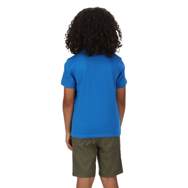 Regatta Regatta Childrens/kids Bosley V Beach T-shirt