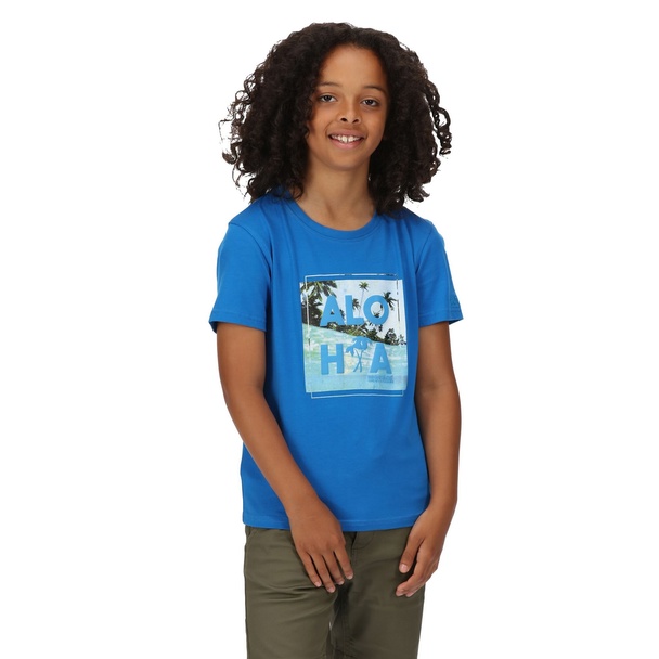 Regatta Regatta Childrens/kids Bosley V Beach T-shirt