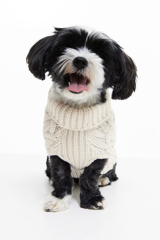 H&M Hundepullover mit Zopfmuster Hellbeige