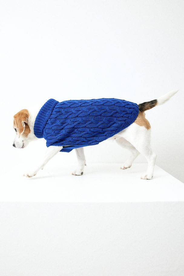 H&M Cable-knit Dog Jumper Bright Blue