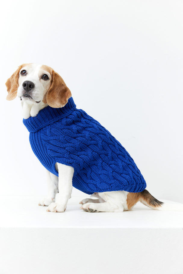 H&M Cable-knit Dog Jumper Bright Blue
