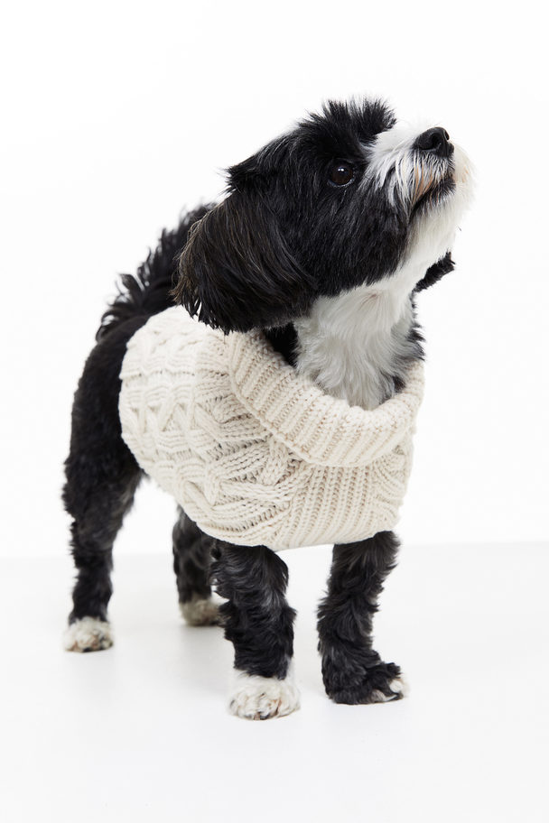 H&M Hundepullover mit Zopfmuster Hellbeige