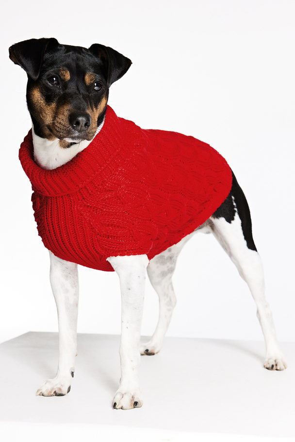 H&M Cable-knit Dog Jumper Red