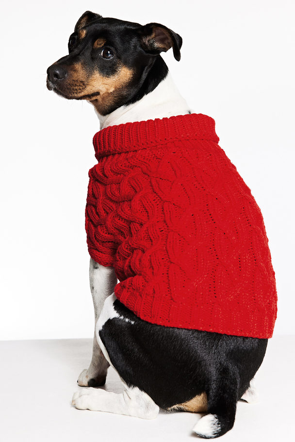 H&M Hundepullover mit Zopfmuster Rot