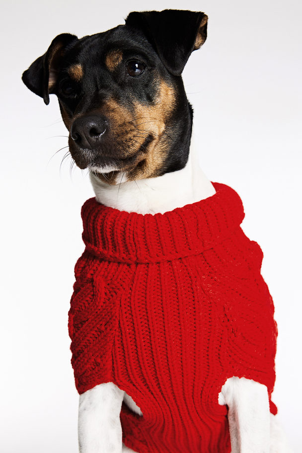 H&M Hundepullover mit Zopfmuster Rot