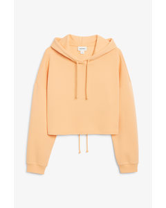 Cropped Hoodie With Cut Out Back Pastel Orange