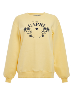 Capri Embroidered Crew Neck Pullover