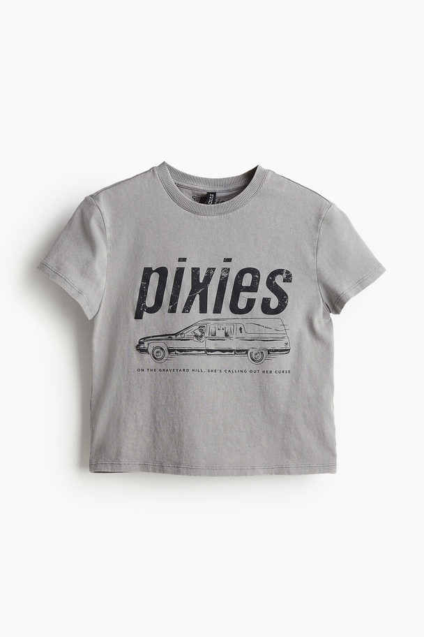 H&M T-shirt Med Trykk Grå/pixies