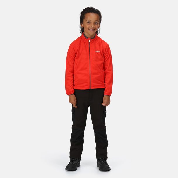 Regatta Regatta Childrens/kids Highton Lite Ii Soft Shell Jacket