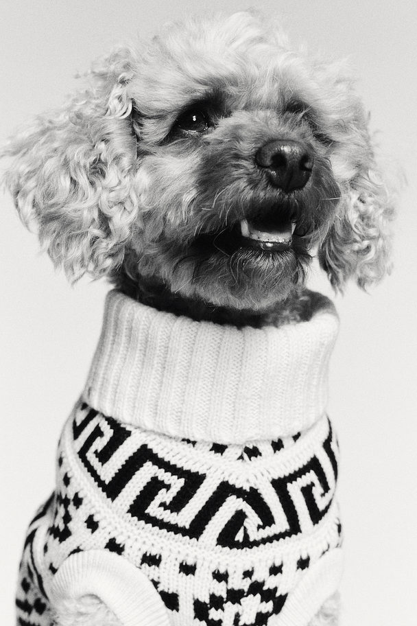 H&M Hundepullover aus Jacquardstrick Cremefarben/Schwarz gemustert