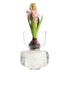 Glass Forcing Vase 17 Cm Clear Glass