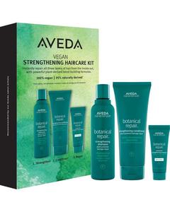 Aveda Botanical Repair Strengthening Haircare Set