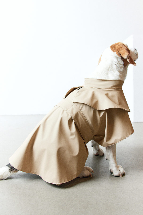 H&M Hunde-Trenchcoat Beige