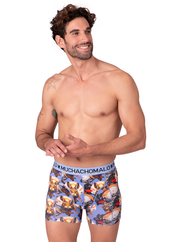 Muchachomalo Muchachomalo Boxershorts För Män - 10-pack - Kalsonger För Män