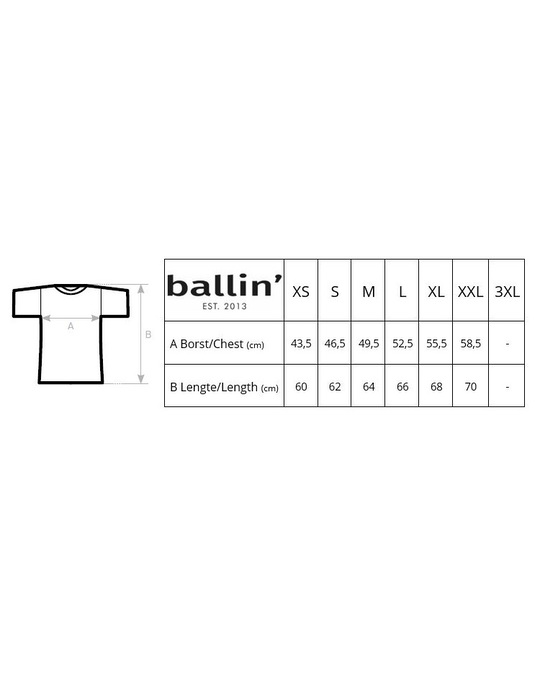Ballin Est. 2013 Ballin Est. 2013 Panter Block Shirt Black