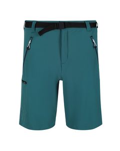 Regatta Mens Xert Iii Stretch Shorts