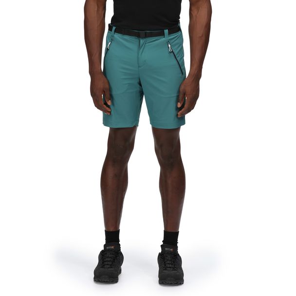 Regatta Regatta Mens Xert Iii Stretch Shorts