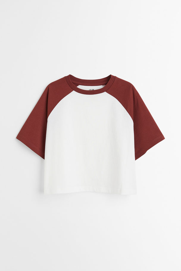 H&M Ribbet Cropped T-shirt I Bomuldsjersey Brun/hvid