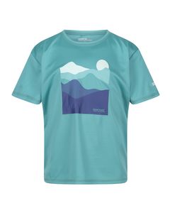 Regatta Childrens/kids Alvarado Vii Mountain T-shirt